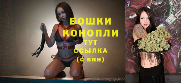 шишки Абдулино