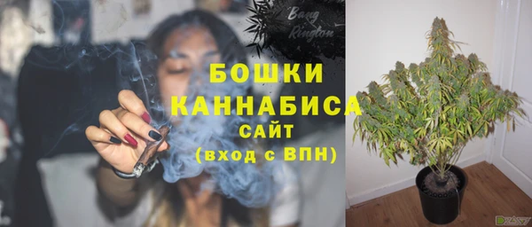 стафф Семилуки