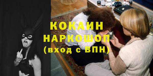 стаф Абинск