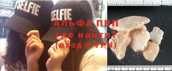 стаф Абинск