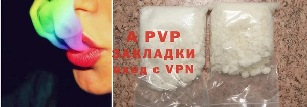 стаф Абинск