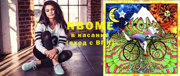 индика Семёнов