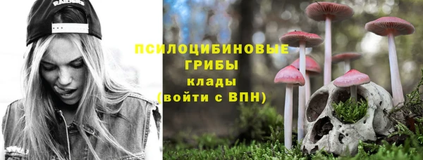 шишки Абдулино