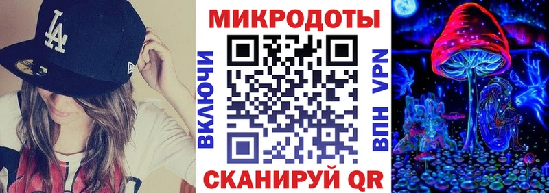 Псилоцибиновые грибы Psilocybine cubensis  Кинешма 