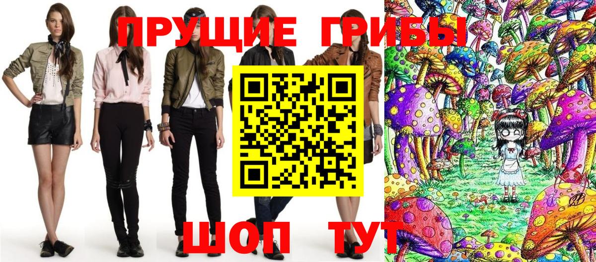 Псилоцибиновые грибы мицелий  Вход с VPN  Кинешма 